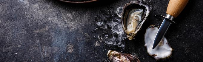 Forkorte Permanent Forstyrret OYSTERS & GRILL IS LOOKING FOR A CHEF | miniCV.dk
